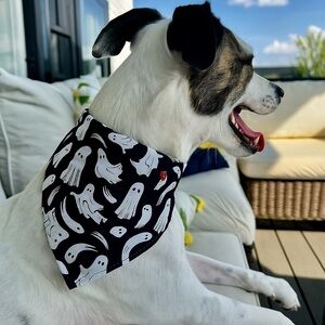 Handmade Reversible Ghost Dog Bandana